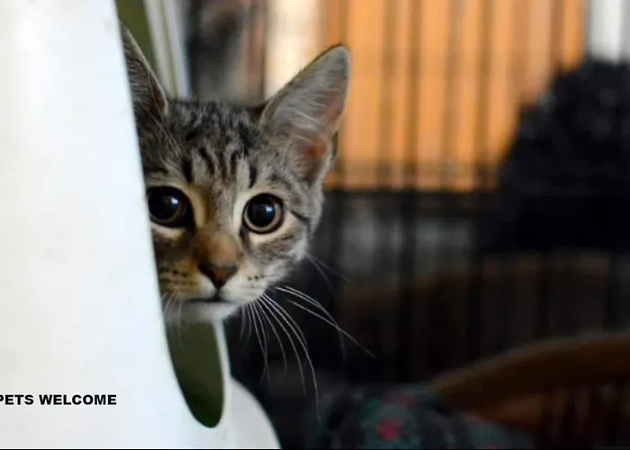 아파트 4work & Leisure Easy Self-checkin 3parking Station District - Simpletone02 *