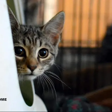 Lägenhet 4work & Leisure Easy Self-checkin 3parking Station District - Simpletone02 *